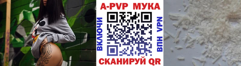 A-PVP СК  Магас 