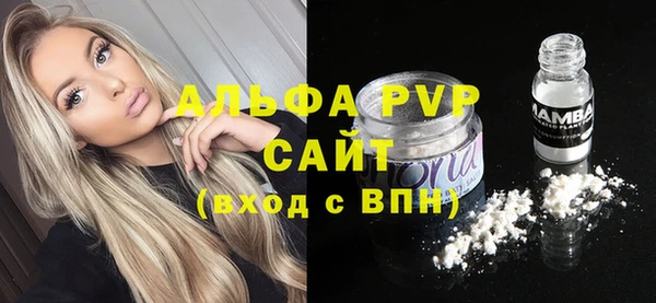стаф Дубовка