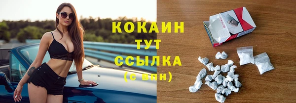 бошки Ладушкин